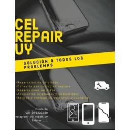 Cell Repair 